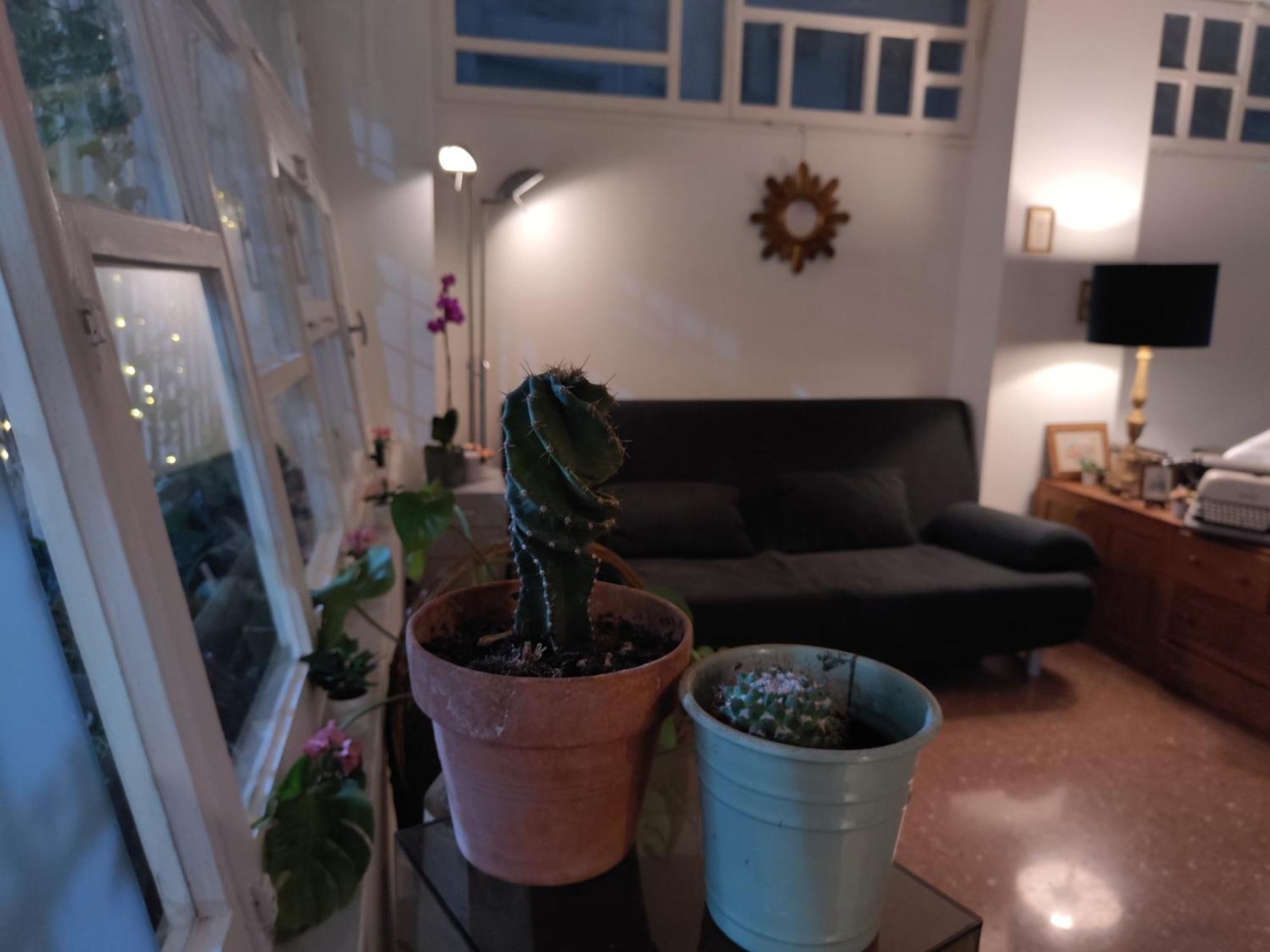 That's Theatre House, Near The Colosseum! Holiday home Rome
